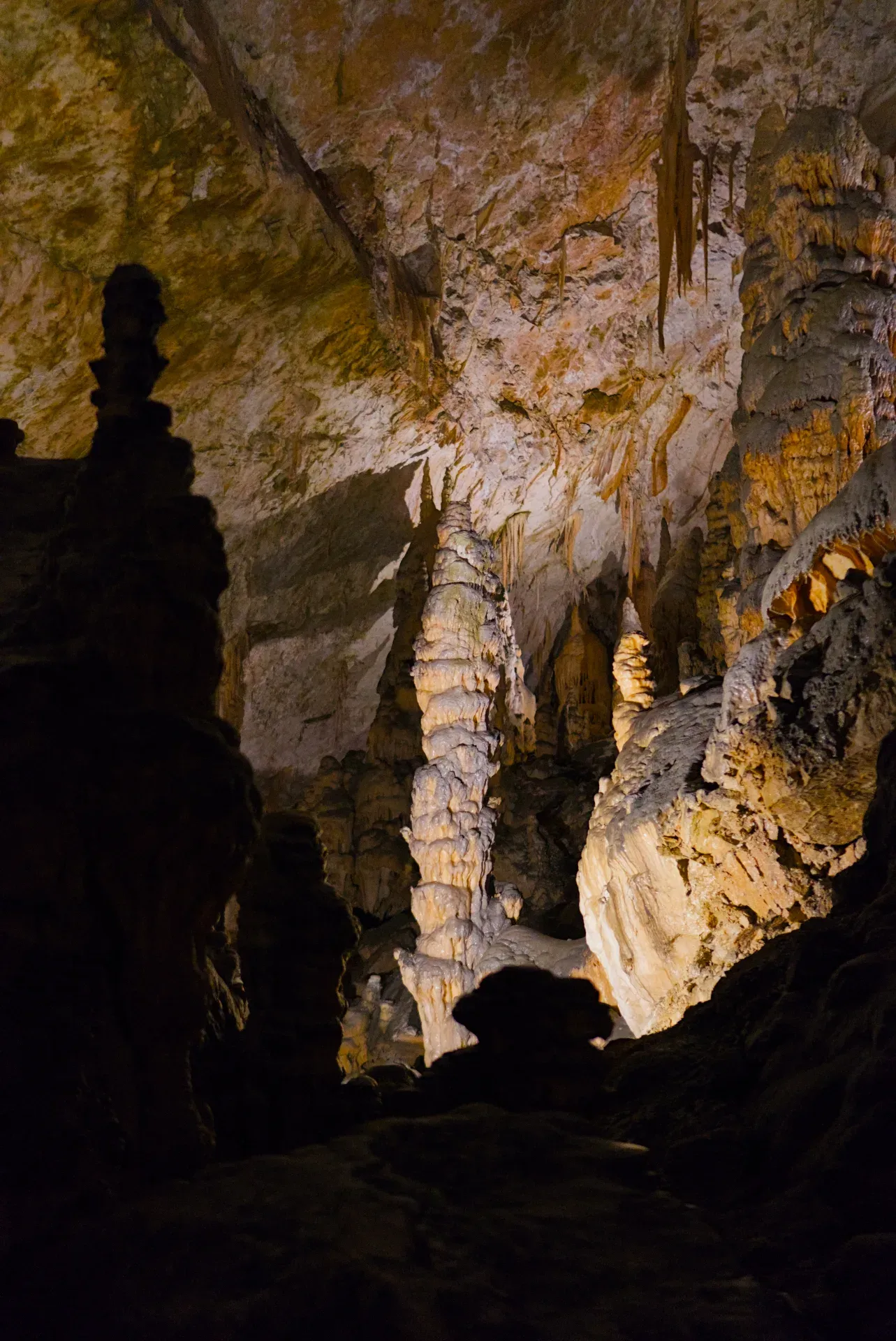 Intricadas estalagmitas y estalactitas dentro de la misteriosa Cueva de Postojna, Eslovenia.