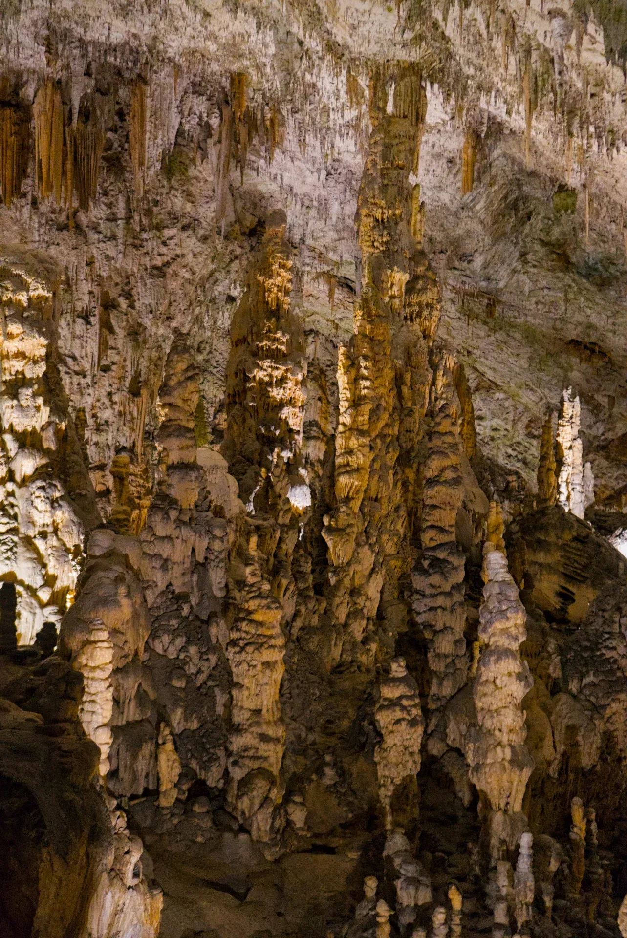 Vista detallada de estalagmitas y estalactitas dentro de la Cueva de Postojna, Eslovenia.