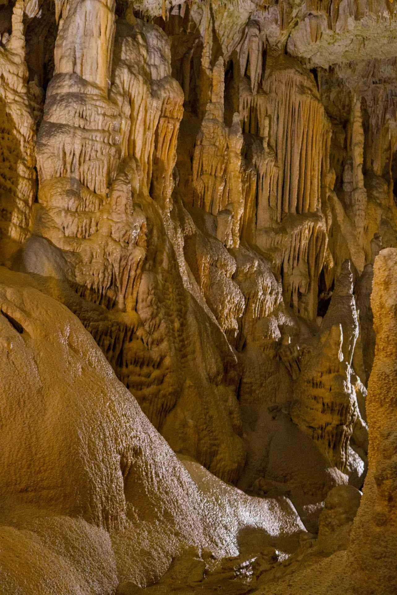 Intrincadas formaciones de estalactitas y estalagmitas en la Cueva de Postojna, Eslovenia, mostrando tonos dorados y marrones.