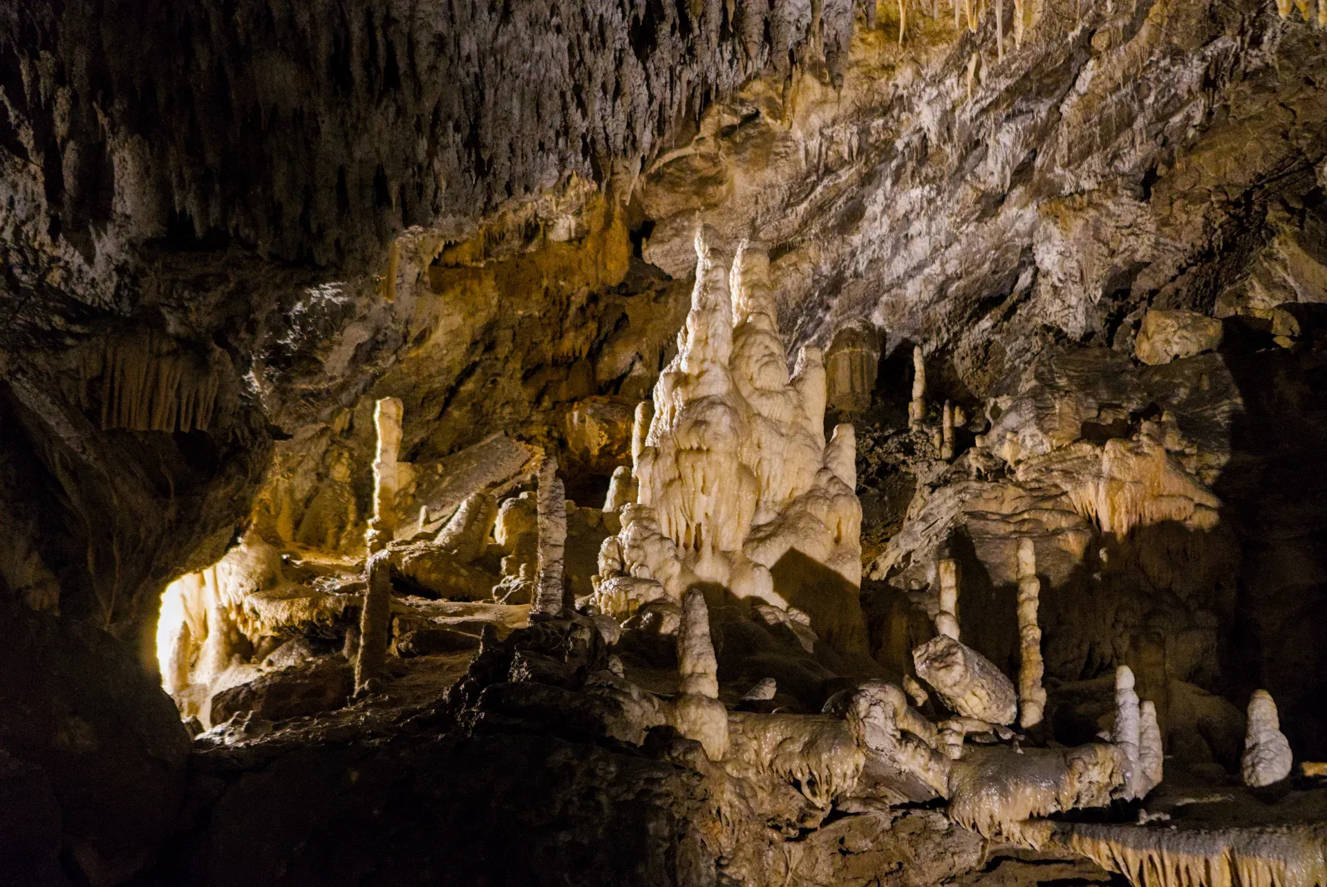 Una majestuosa formación de estalagmitas dentro de las Cuevas de Postojna, dramáticamente iluminada y rica en textura.