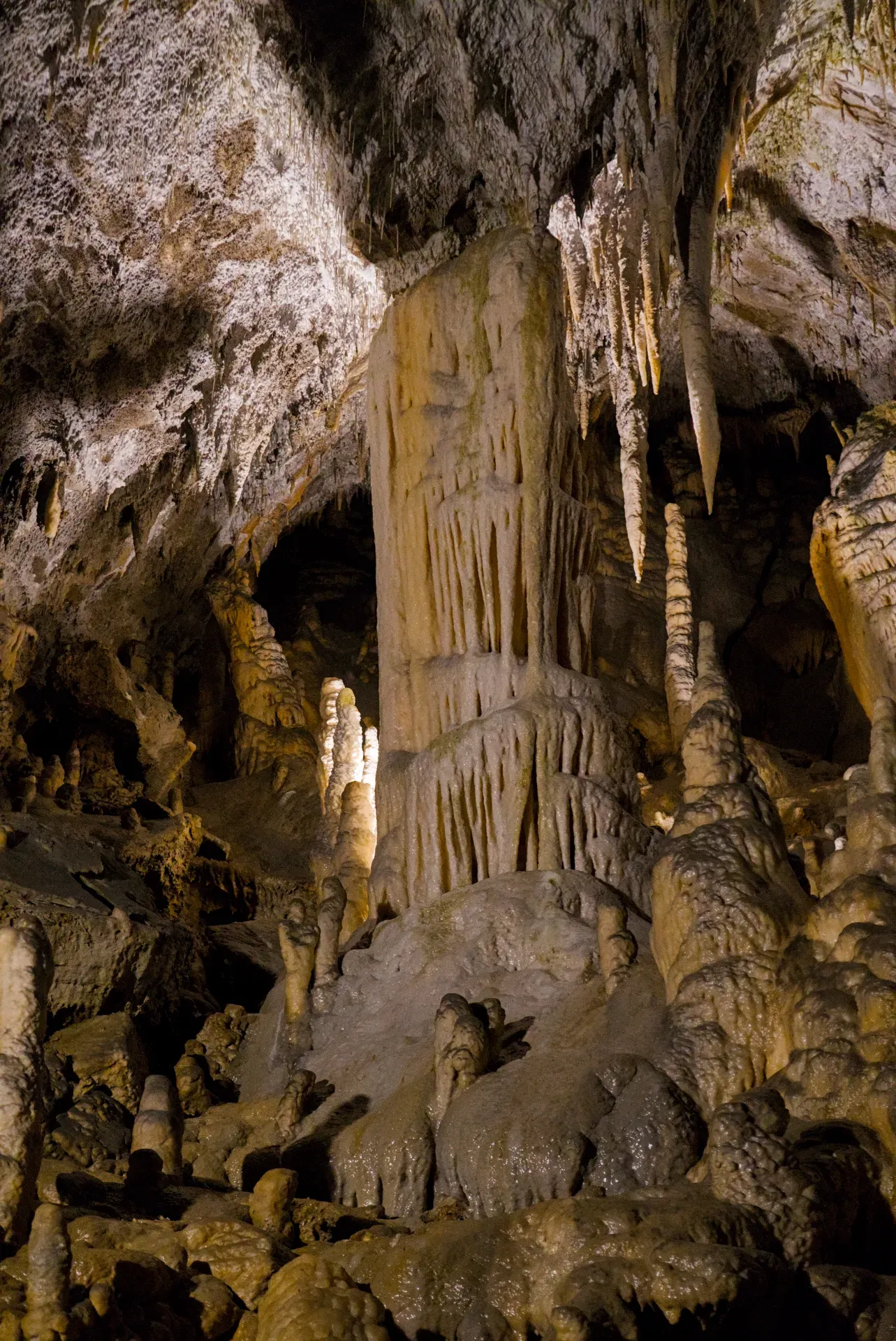 Estalactitas y estalagmitas cautivadoras en la Cueva de Postojna (Postojnska jama) crean un paisaje artístico natural.