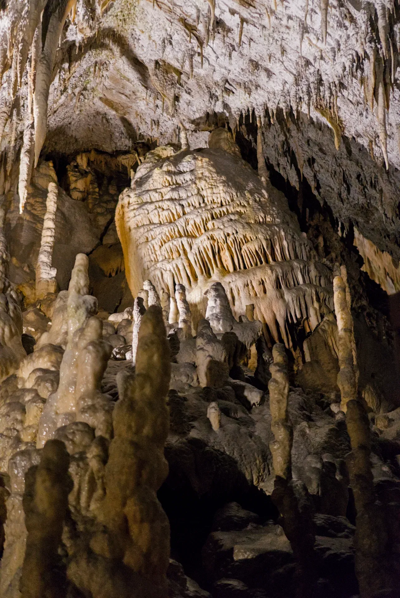 Primer plano de estalactitas y estalagmitas en la Cueva de Postojna, Eslovenia.