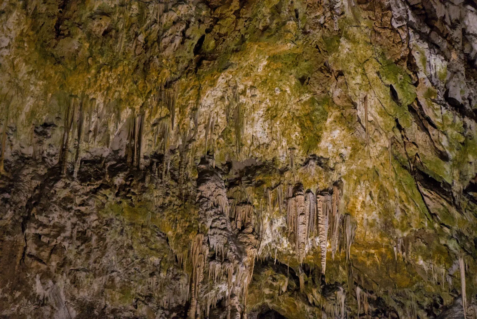 Textura del techo de la cueva con estalactitas colgantes y depósitos minerales en tonos verdes y marrones.