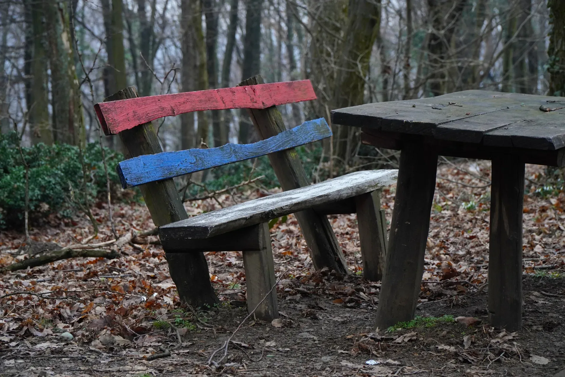 Un banc rustique en bois avec des bandes rouges et bleues représentant le drapeau serbe, positionné dans un décor forestier.