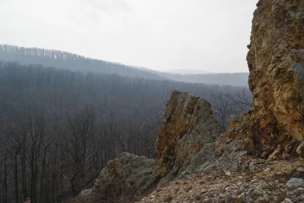 Orlovi zidovi i magloviti bregovi na Fruškoj, februar. Pejzažna fotografija za galeriju i uređenje enterijera.