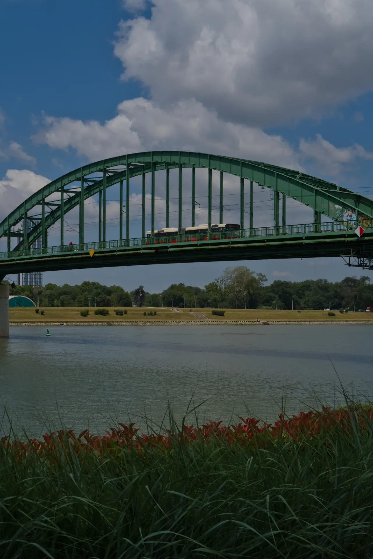 Il Vecchio Ponte Sava verde a Belgrado, Serbia, attraversa il fiume sotto un cielo nuvoloso, aggiungendo un tocco architettonico agli interni.