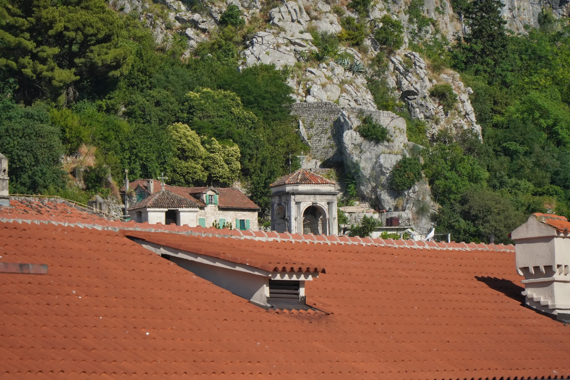 Terracotta rooftops in the foreground with historic stone buildings and lush green vegetation on a rocky mountainside in Kotor, Montenegro.