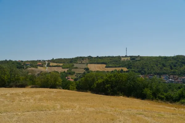 Pejzaž u podnožju Fruške Gore, Srbija: zlatna polja i zeleni brežuljci pod vedrim nebom.
