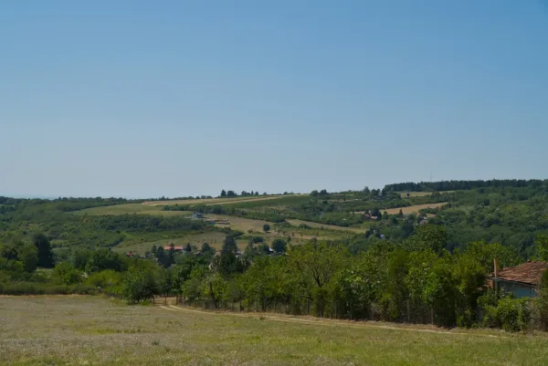 Fruška Gora landscape with hills, fields, and trees under a clear sky, ideal for interiors.