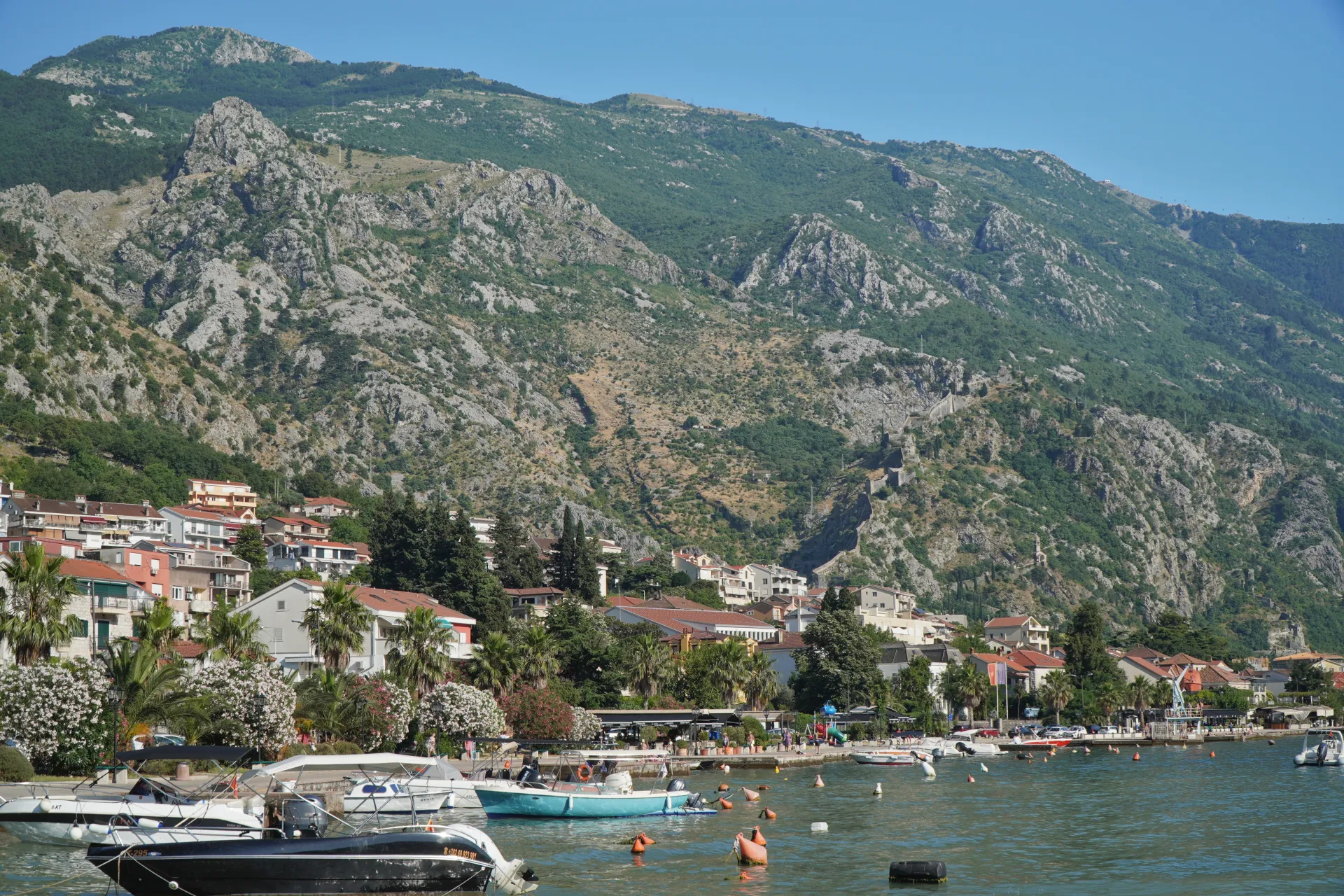 Boats are docked in the calm waters of Kotor Bay, with colorful buildings lining the shore and lush green mountains stretching into the clear blue sky.
