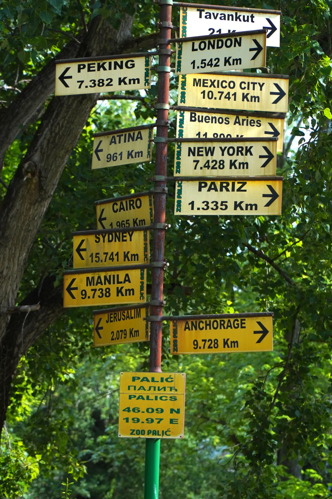 A multi-directional signpost at Zoo Palić, Serbia, showing distances in kilometers to numerous cities around the world, such as London, Peking, New York, and Sydney, as well as the coordinates of Palić.