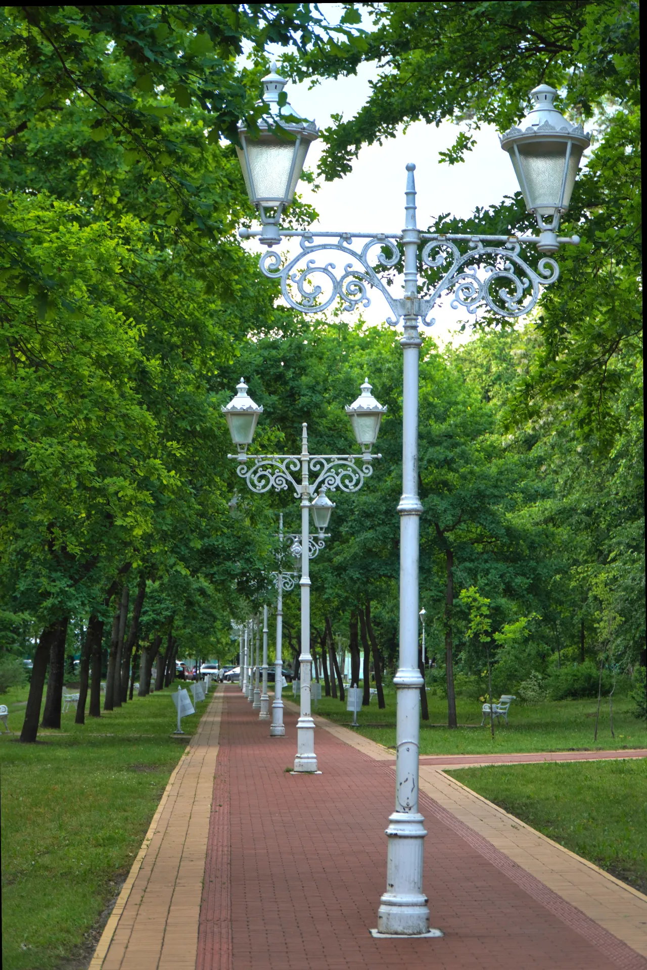 A paved pathway in a park with a series of decorative white lampposts and lush green trees lining the sides.