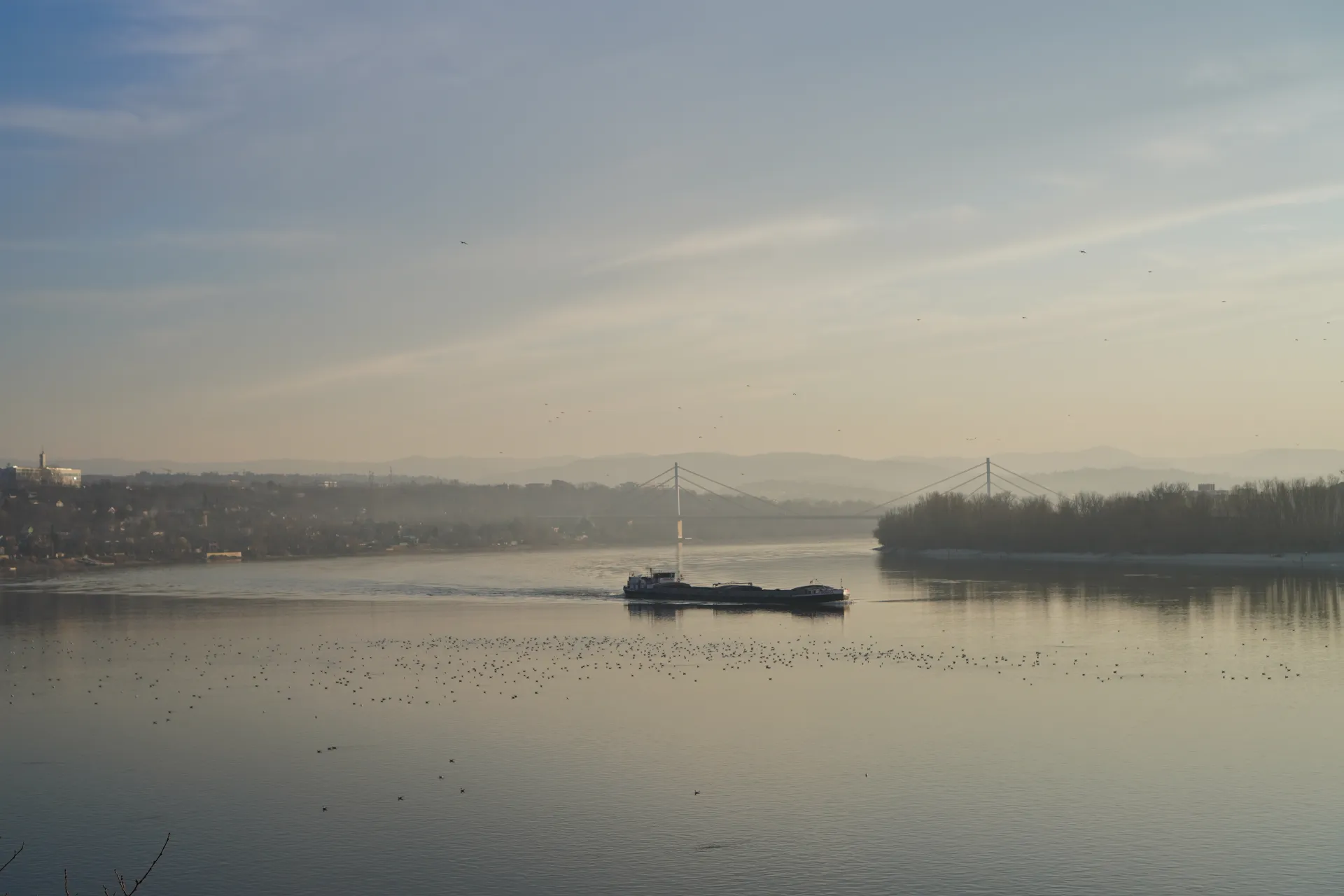 A cargo barge travels on the Danube River with the Liberty Bridge and the city of Novi Sad in the background, under a hazy sky with birds on the water.