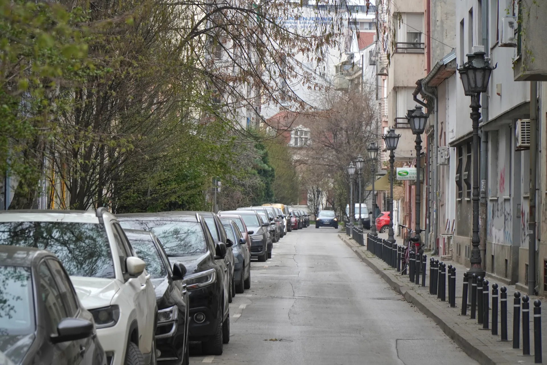 Ulica u Novom Sadu, Srbija, okružena drvećem, sa parkiranim automobilima uz trotoar i zgradama sa starinskim uličnim svetiljkama.