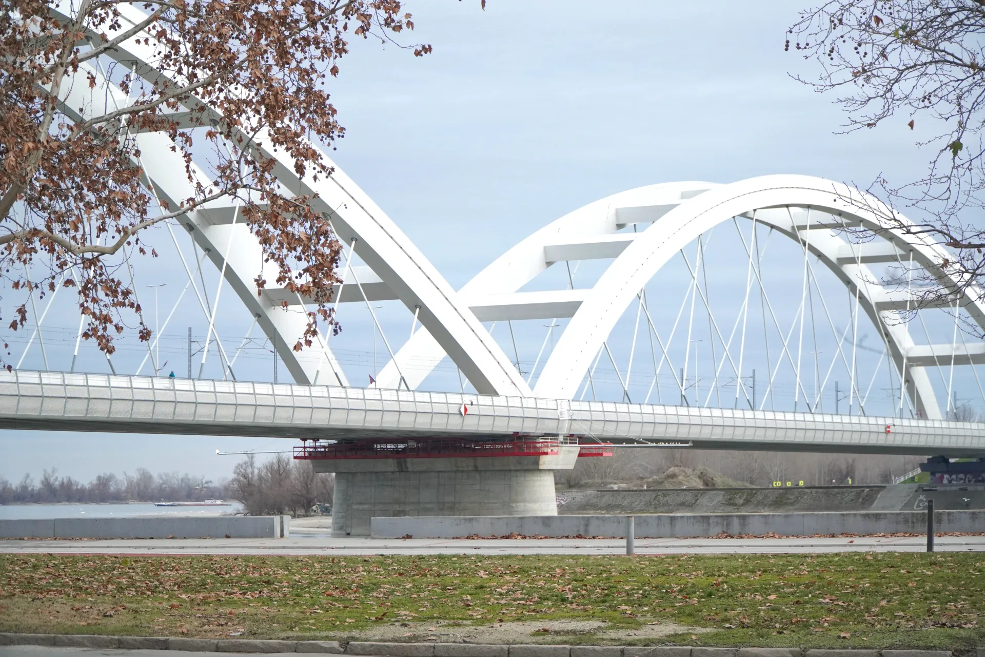 Široki kadar modernog, belog lučnog Žeželjevog mosta preko reke Dunav u Novom Sadu, Srbija, sa golim drvećem i opalim lišćem u prvom planu.