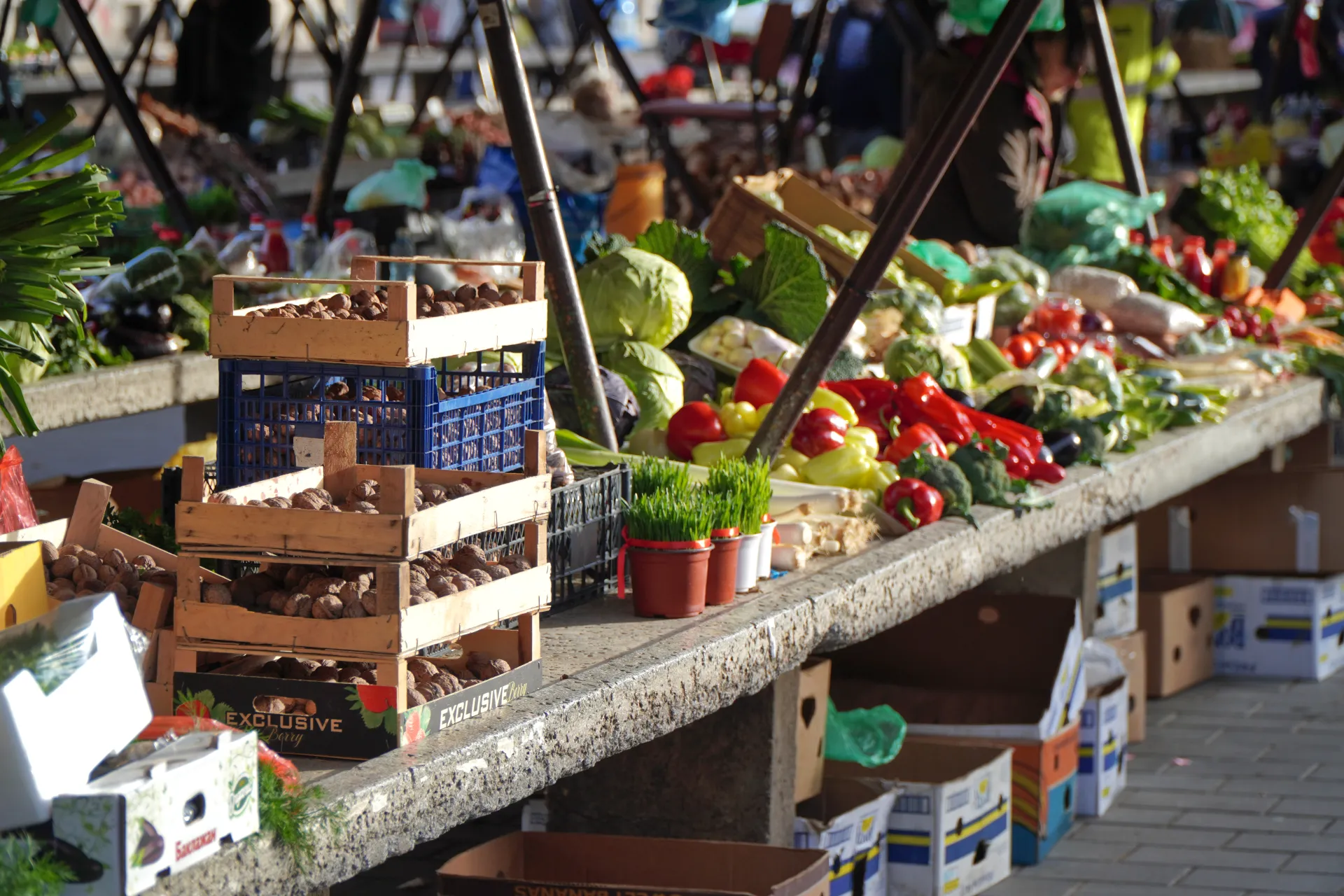 Crates of walnuts and a variety of fresh vegetables, including red peppers, cabbage, and tomatoes, are displayed at an outdoor market stall in Novi Sad, Serbia.