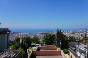 Panoramic view of a coastal city's harbor with numerous ships, cranes, and buildings, leading to the vast blue sea under a clear sky, with foreground rooftops and trees.