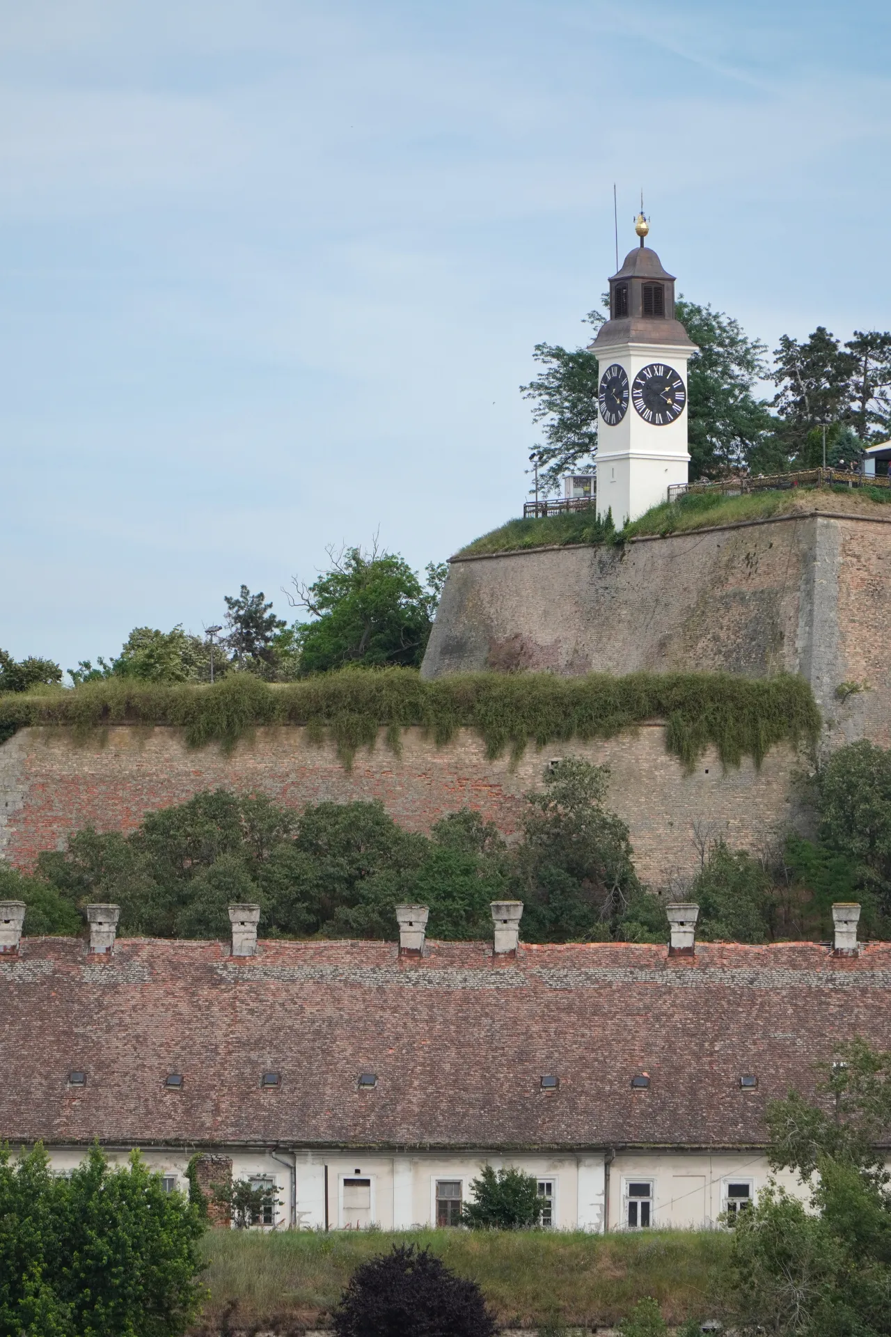 The white clock tower of Petrovaradin Fortress stands tall against a blue sky, adorned with Roman numerals. Below it, ancient stone and brick walls are partially covered in lush green vegetation. In the foreground, a series of red-tiled roofs with chimneys are visible.