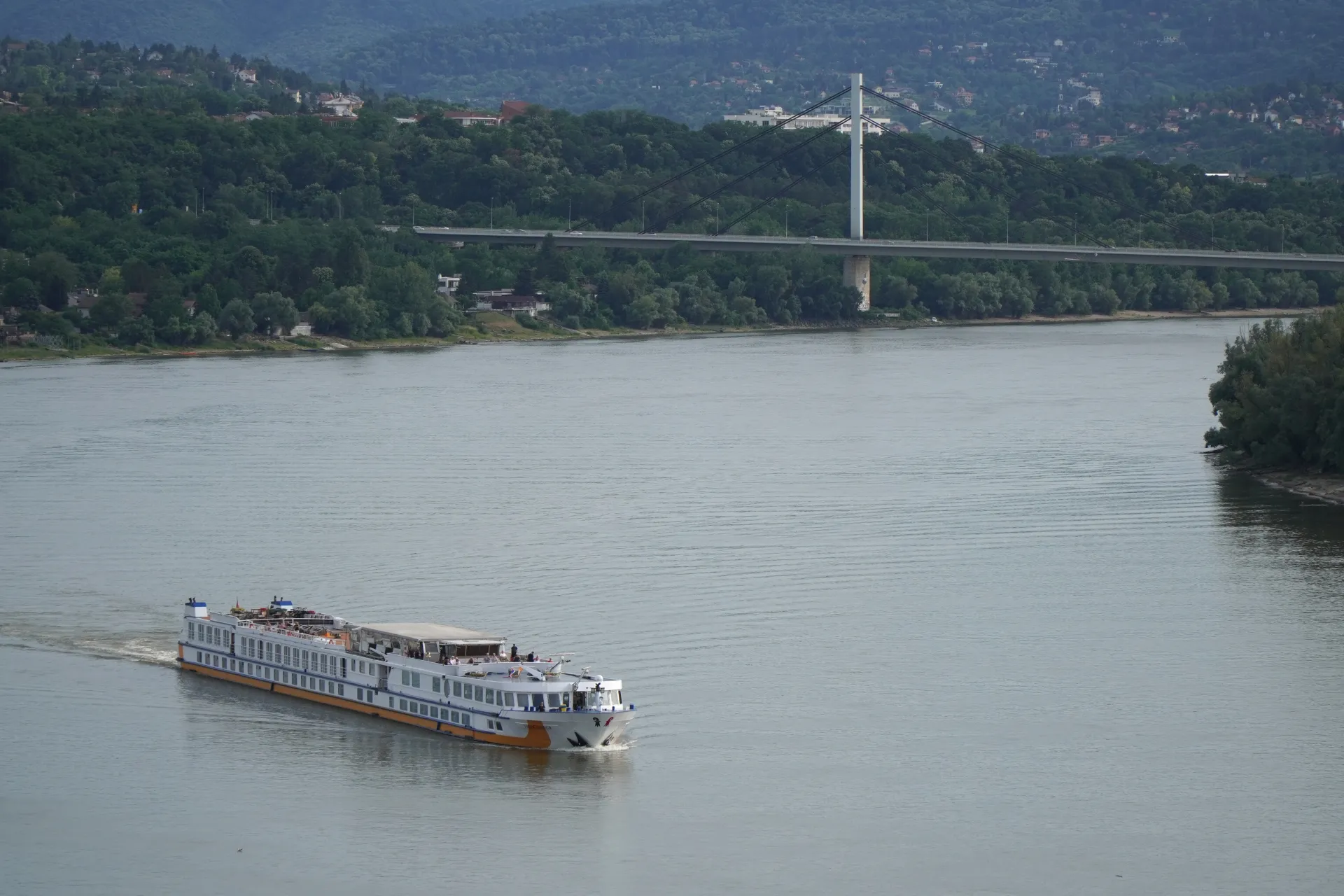 A white and orange cruise ship sails on the Danube River in Novi Sad, Serbia, with a large suspension bridge in the background.