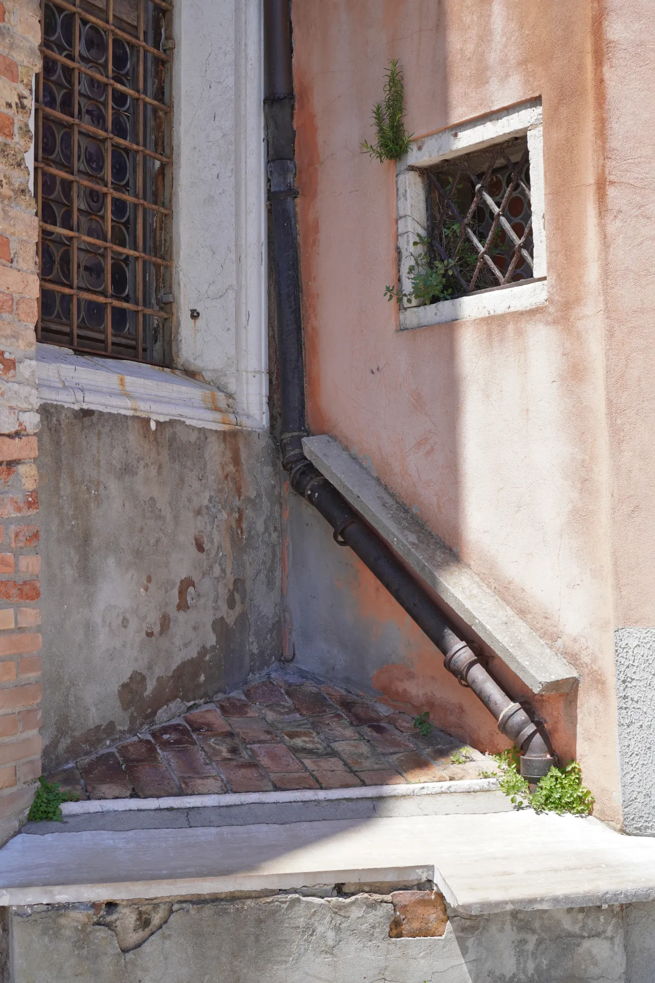 Close-up of a drainpipe running down a textured wall on Murano Island, Venice, with a small window secured by a grate and some greenery growing around it.