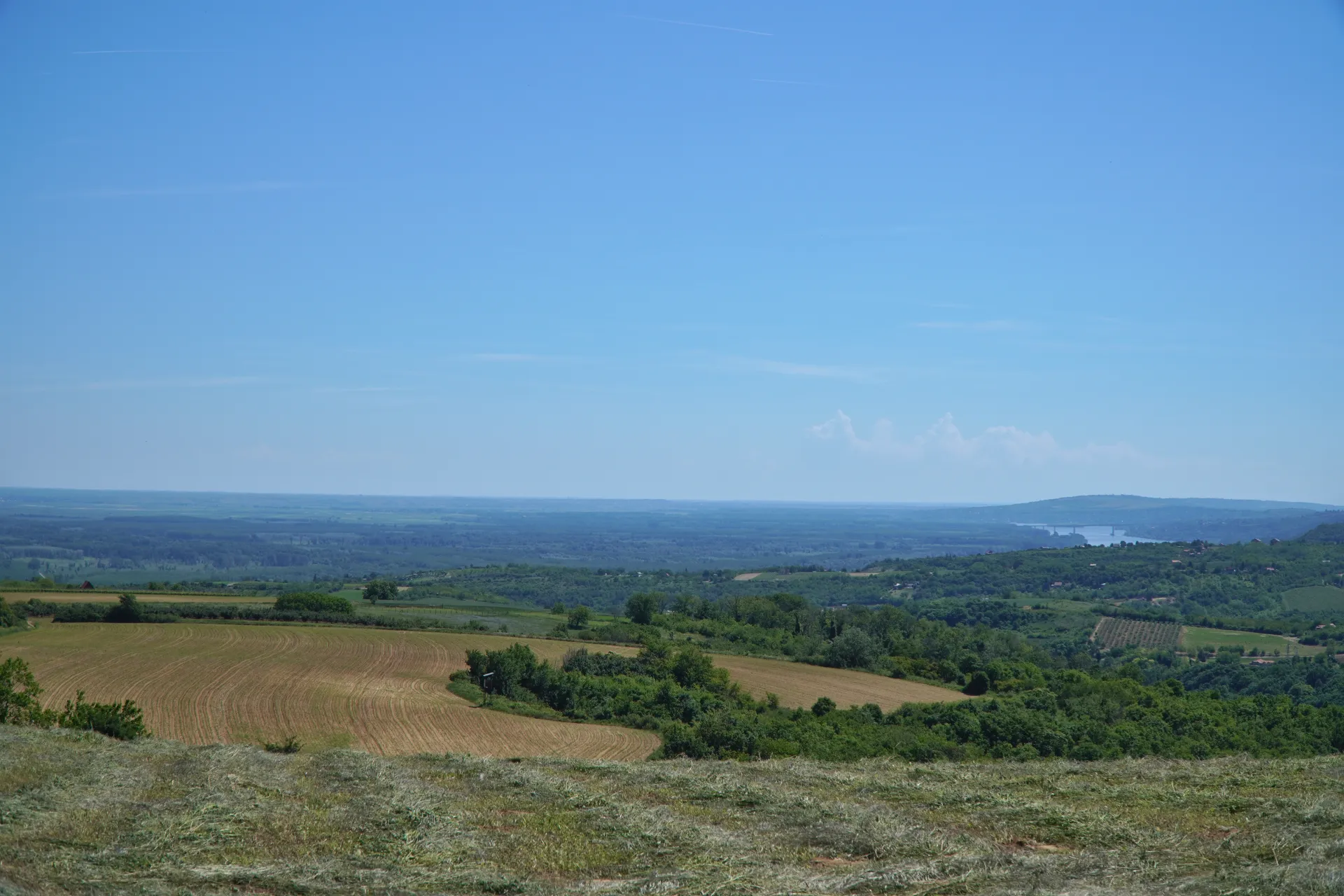 A wide landscape view from the Fruška Gora hills, showcasing cultivated fields and dense green forests with a distant view of the Danube River and a bridge near Novi Sad, Serbia under a clear blue sky.